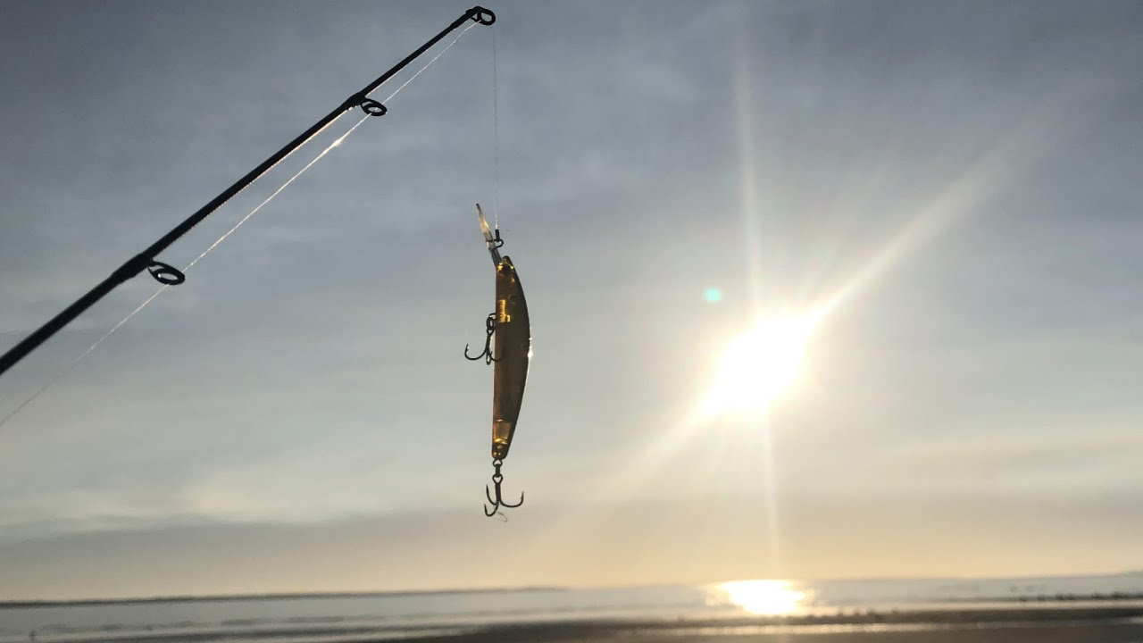 SAND FLATS fishing for FLATHEAD | back to basics!