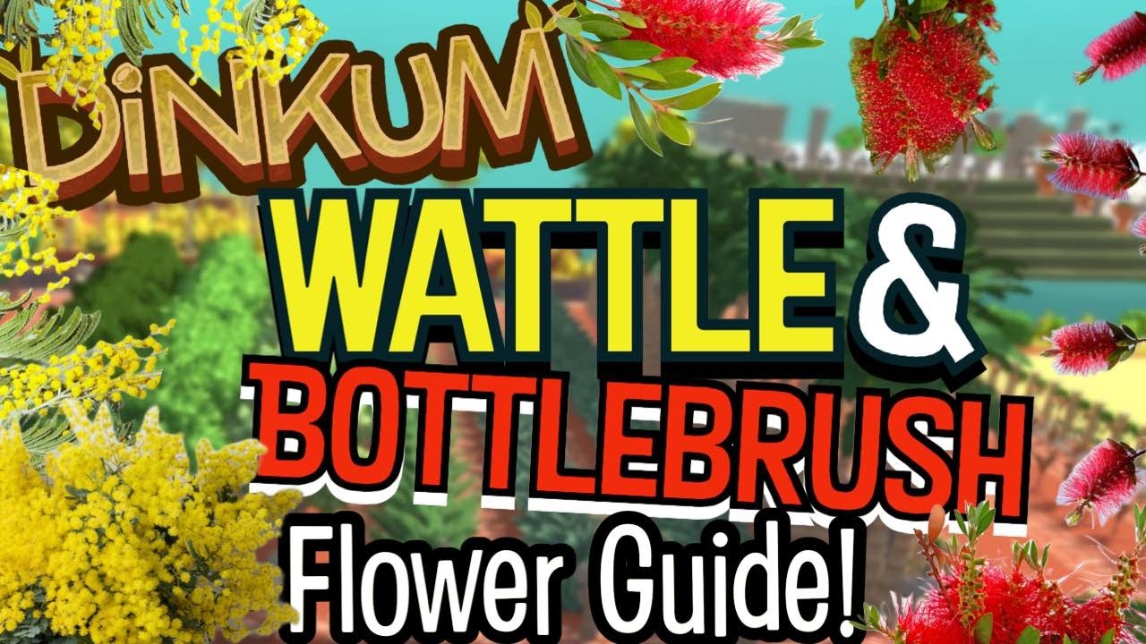 Dinkum Wattle and Bottle Brush Farm! How To!