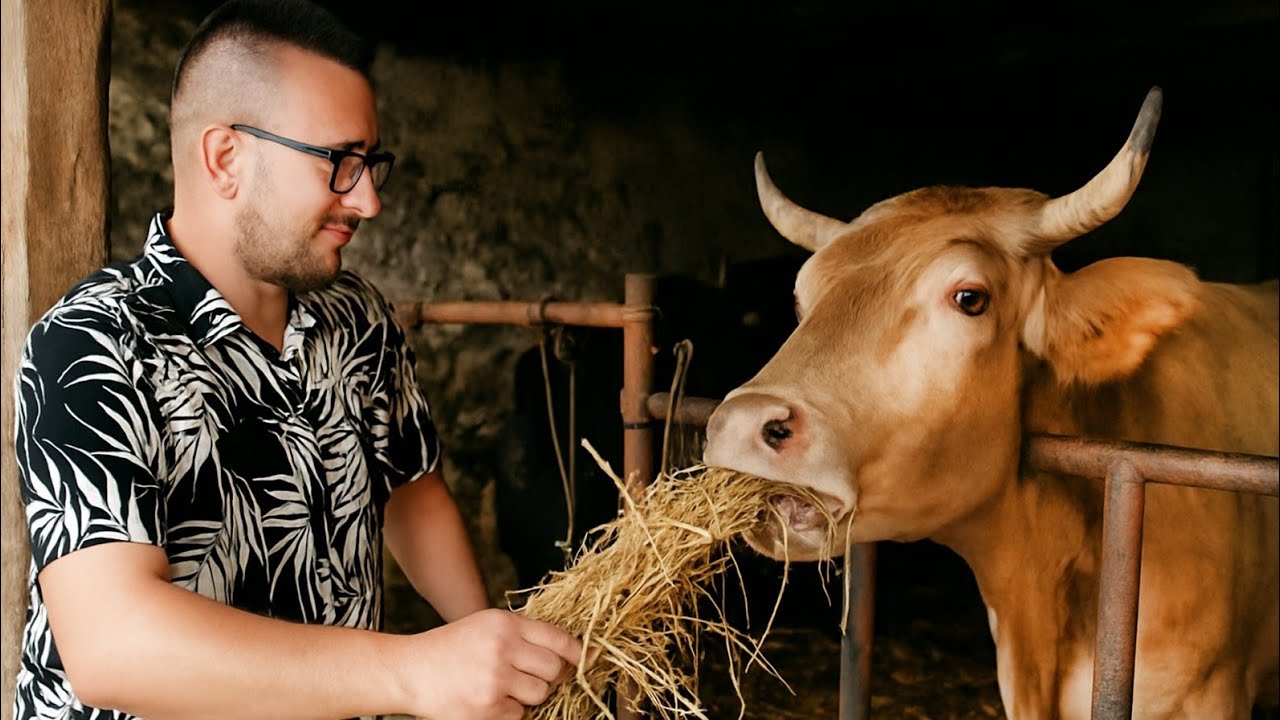 OKOLOKUĆNI POSLOVI #65 - DOMAĆINSTVO SADA IZGLEDA LJEPŠE !! 🐂💧