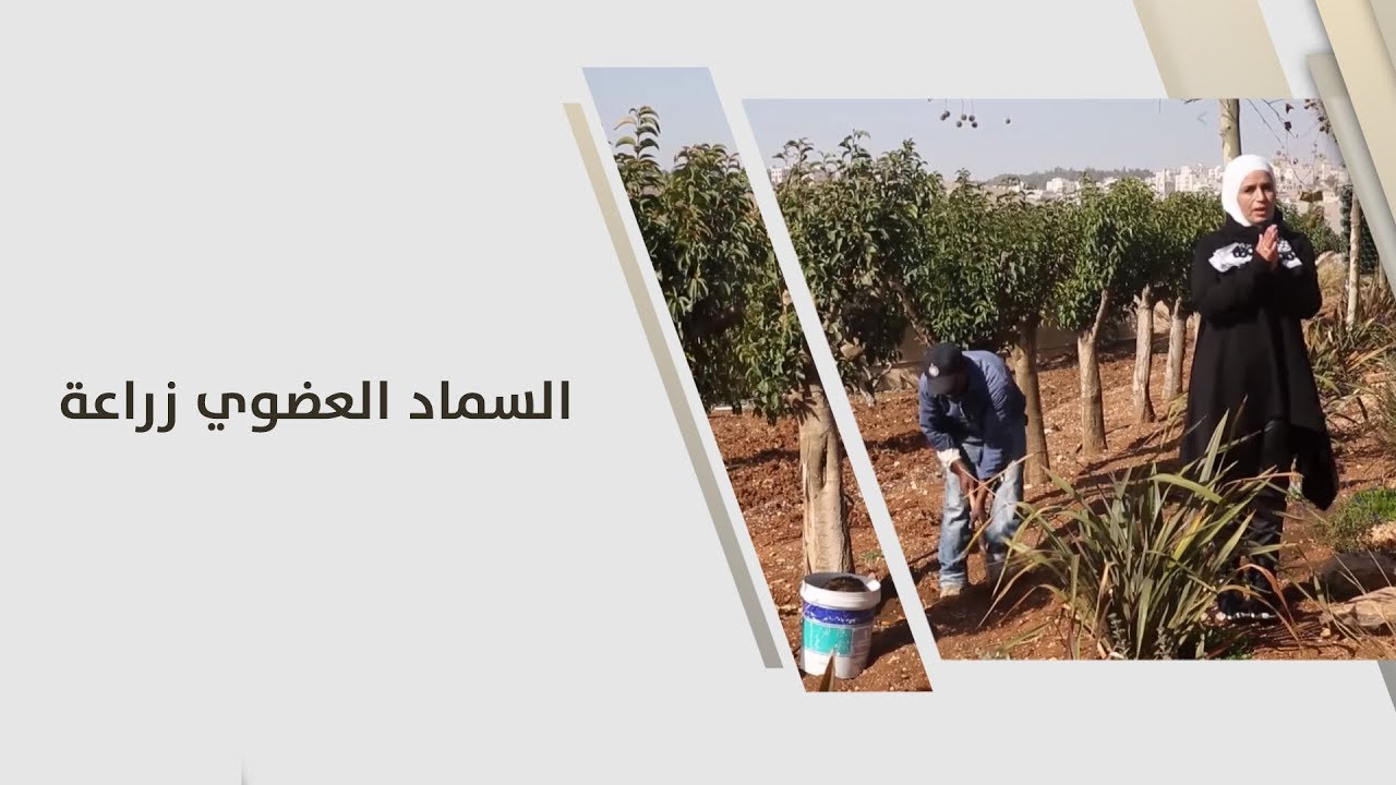 أمل القيمري - السماد العضوي زراعة - زراعة وبيئة