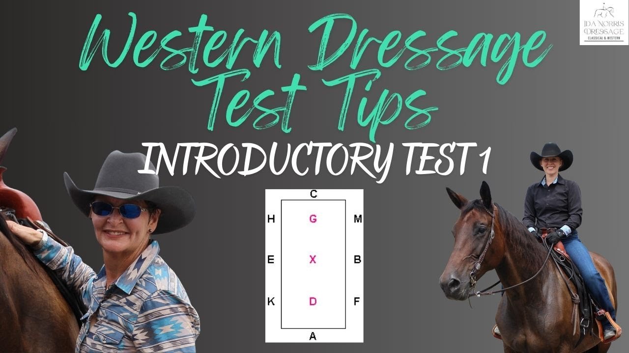 Western Dressage Test Tips! Introductory Test 1