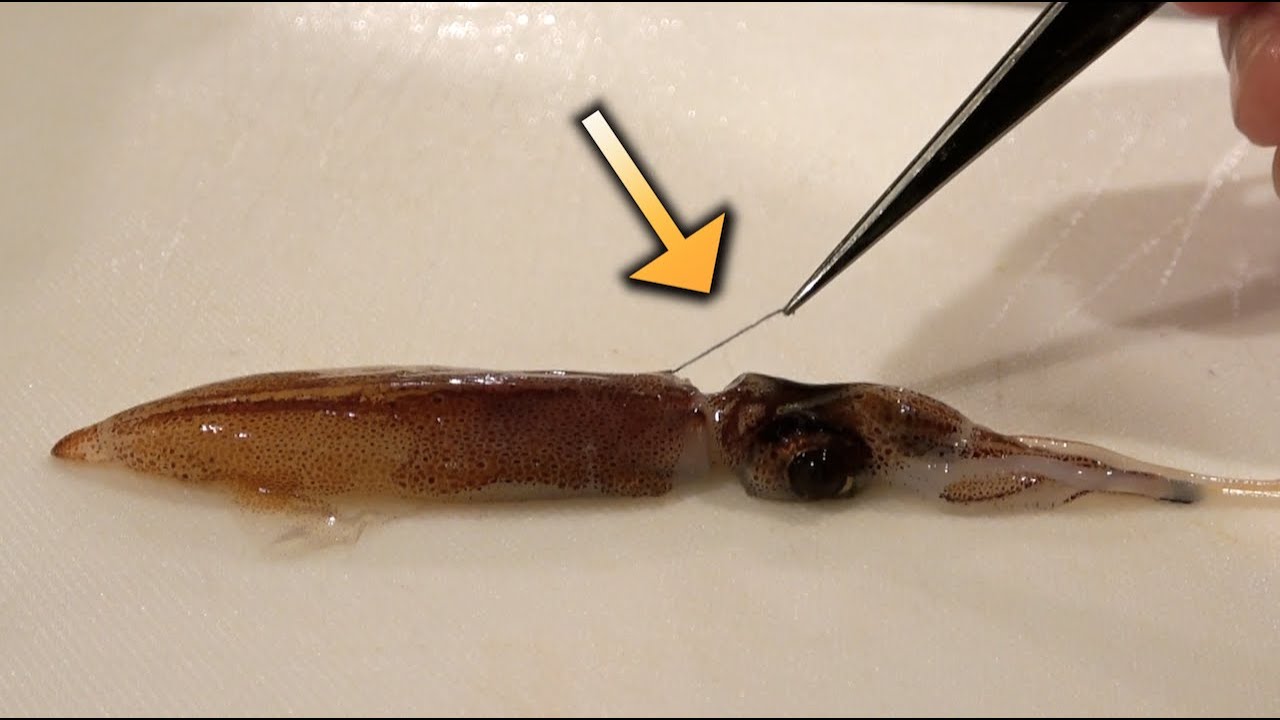 【危険】ホタルイカをそのまま生で食べてはいけない理由がこれ
