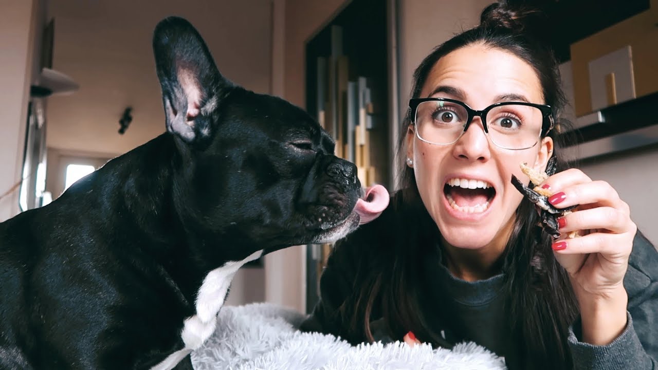 SNACK ESSICCATI PER CANI - cuore e trippa