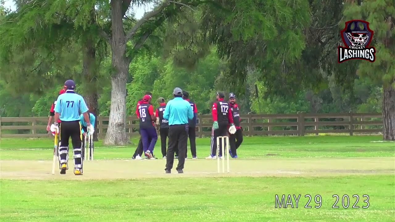Lashings vs Woodley Wizards / FINAL
