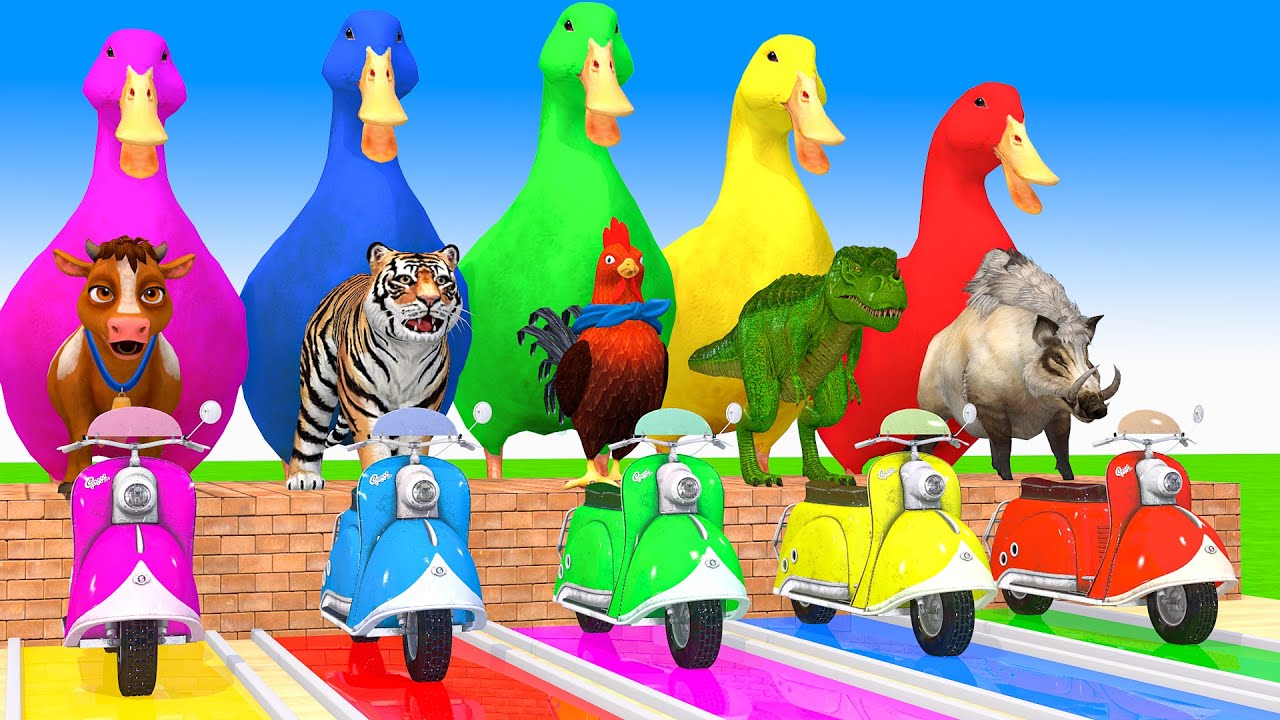 Long Slide Game With Cow Elephant Gorilla Hippopotamus Tiger 3d Animal Game Funny 3d Animals