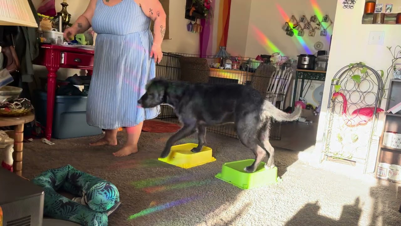 Stretchies (4 on 2 and bow)