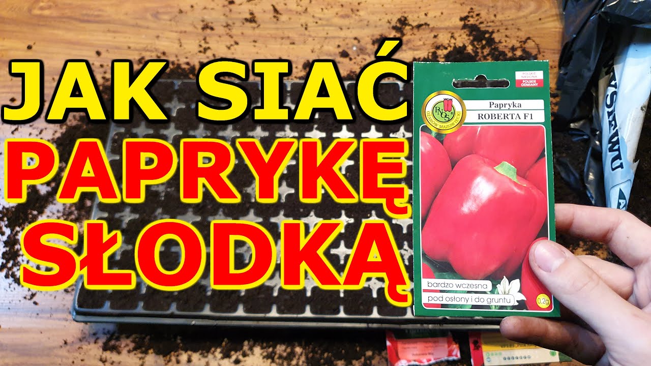Jak i kiedy siać Paprykę słodką na Rozsadę | Rozsada Papryki słodkiej - Siew