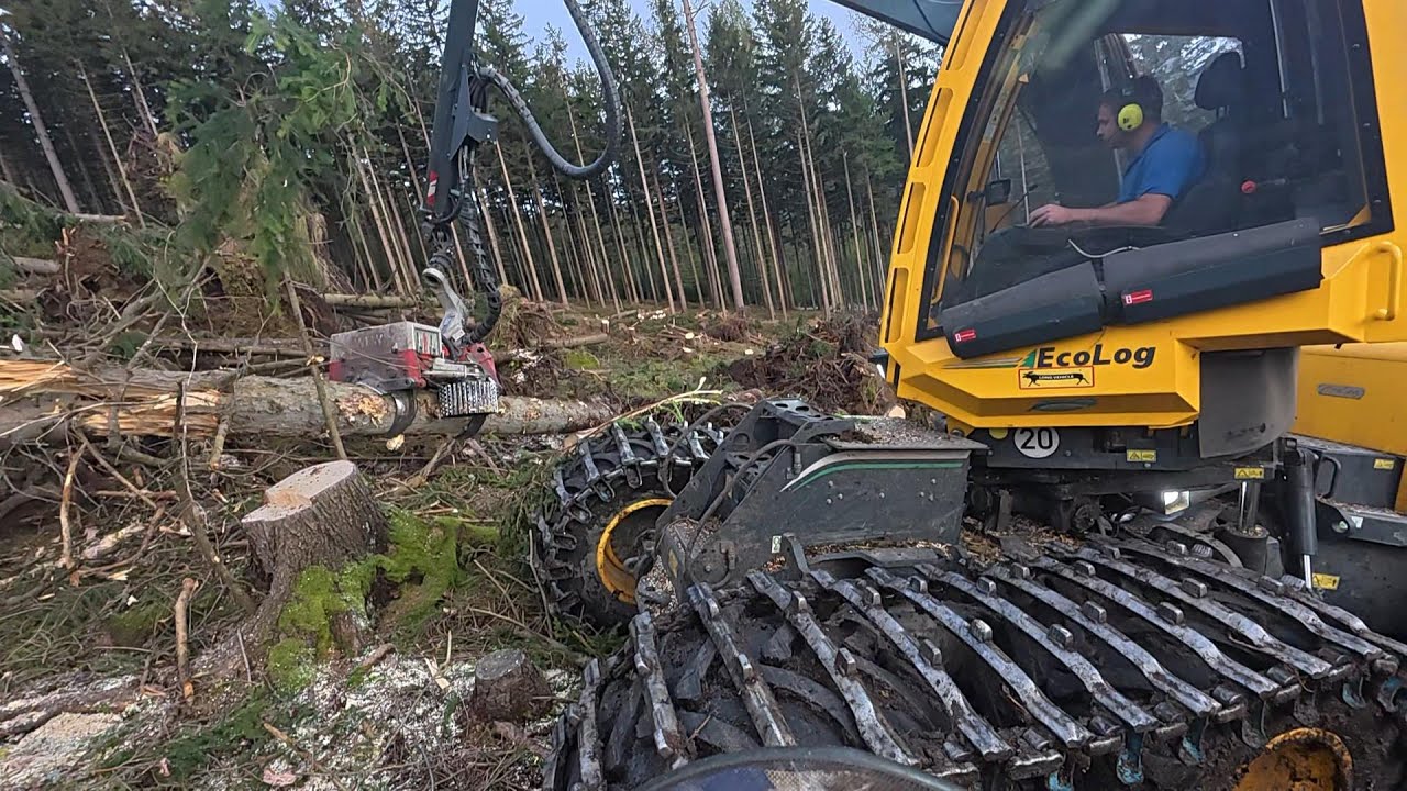 Eco Log 688 [ Steephunter ] im Windwurf ( Vol. 2 )