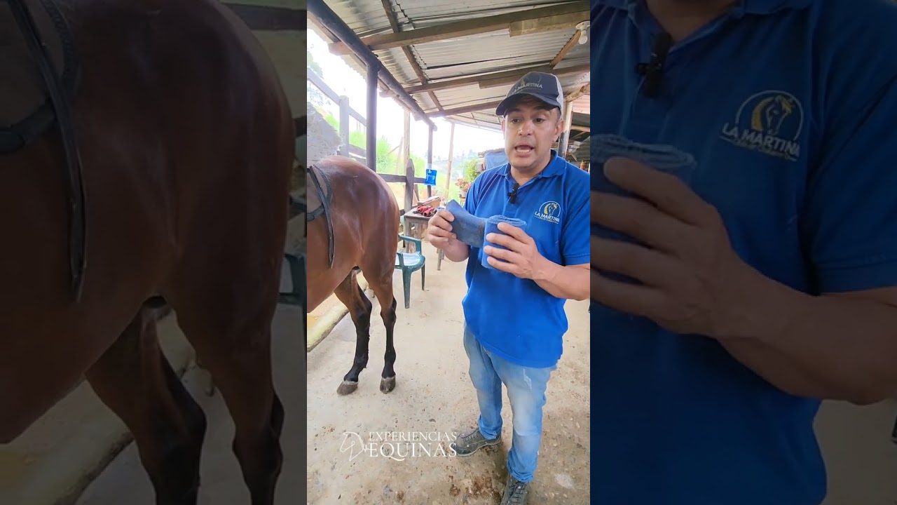 Vendaje para las patas de los caballos, forma correcta de vendar y su utilidad