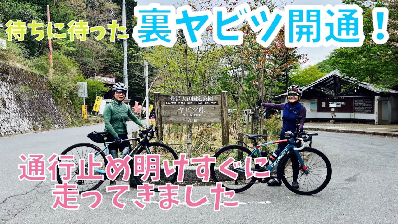 【裏ヤビツ開通】通行止め解除翌日に行ってみた！春の峠をのんびりチェック