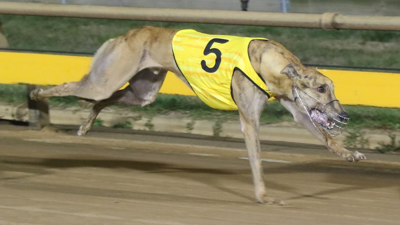 2025 Sportsbet Ballarat Cup | Off The Chart