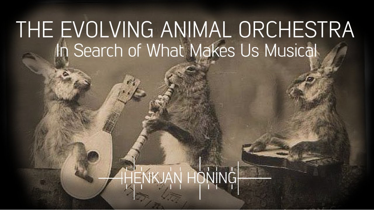 The evolving animal orchestra with Henkjan Honing
