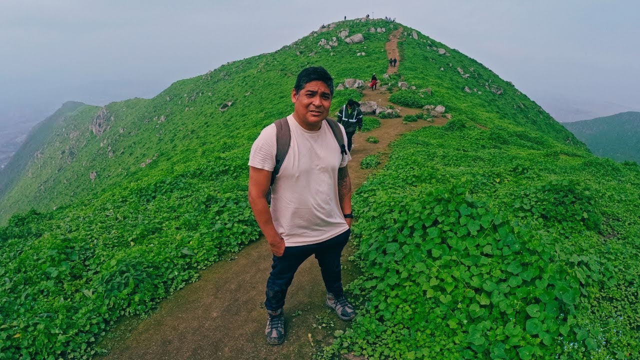 EMPEZO LA TEMPORADA DE LOMAS EN PACHACAMAC |  Lomas de Lucumo
