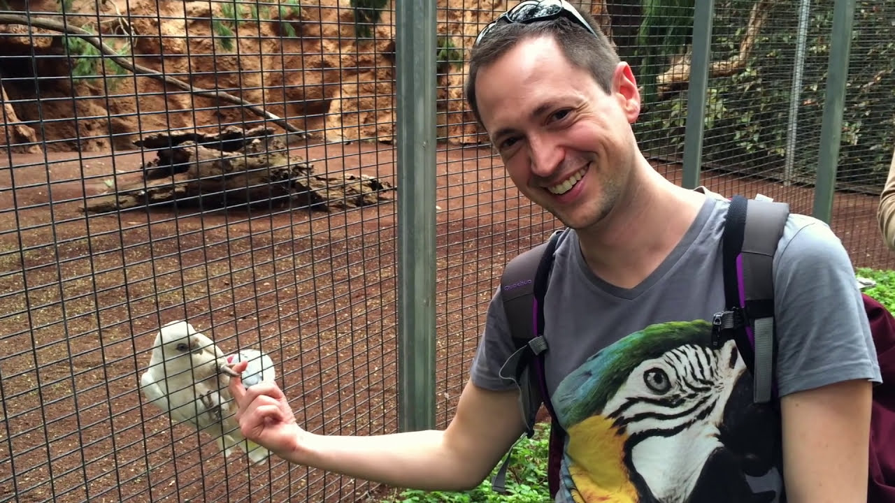 Visita al Loro Parque 2016