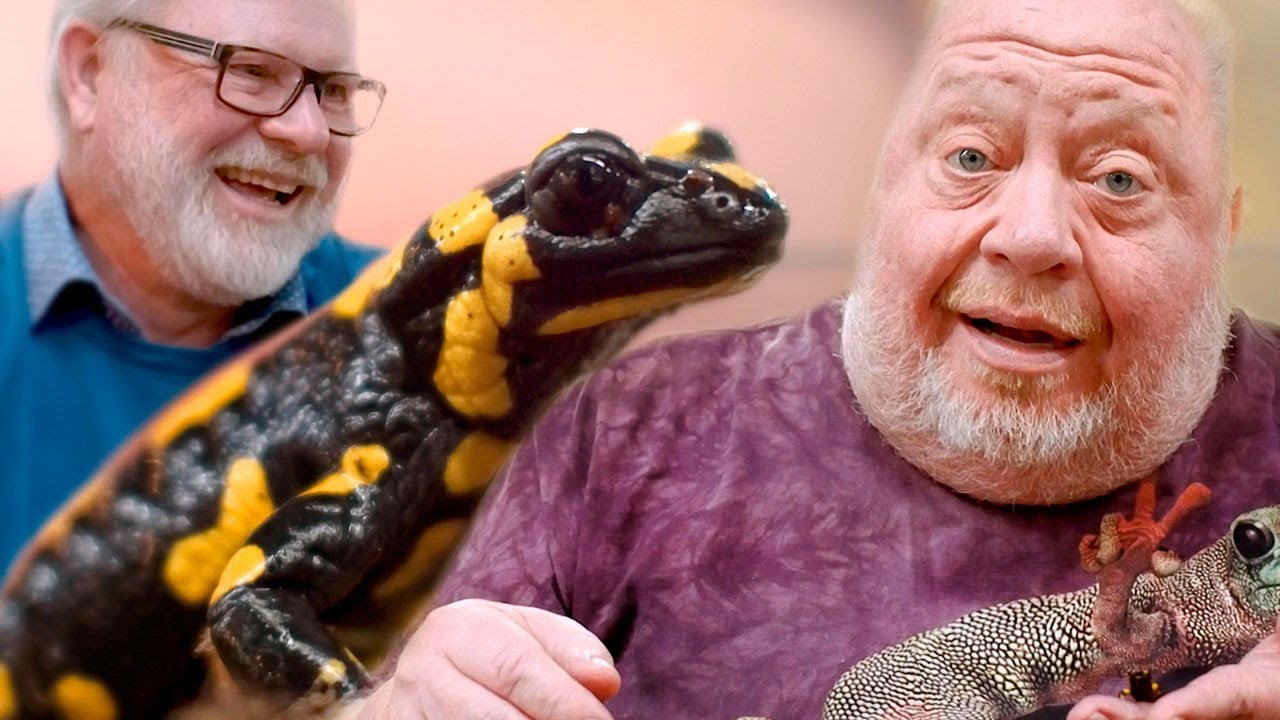 Ein Tier das einen ein Menschenleben begeistert! FEUERSALAMANDER I NORBERTS GESCHICHTE | Teil 7