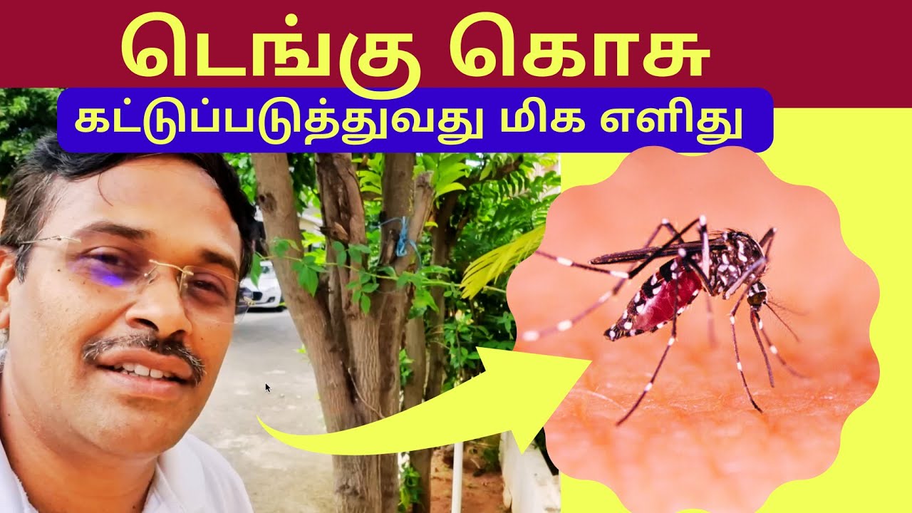 Dengue mosquito larvae control measures at home | dr karthikeyan