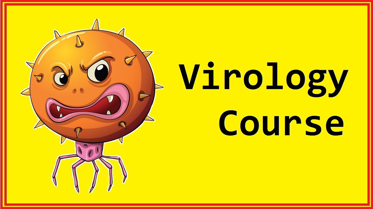 Viral DNA Replication ☆ Virology Course ☆ Virus Lecture #07