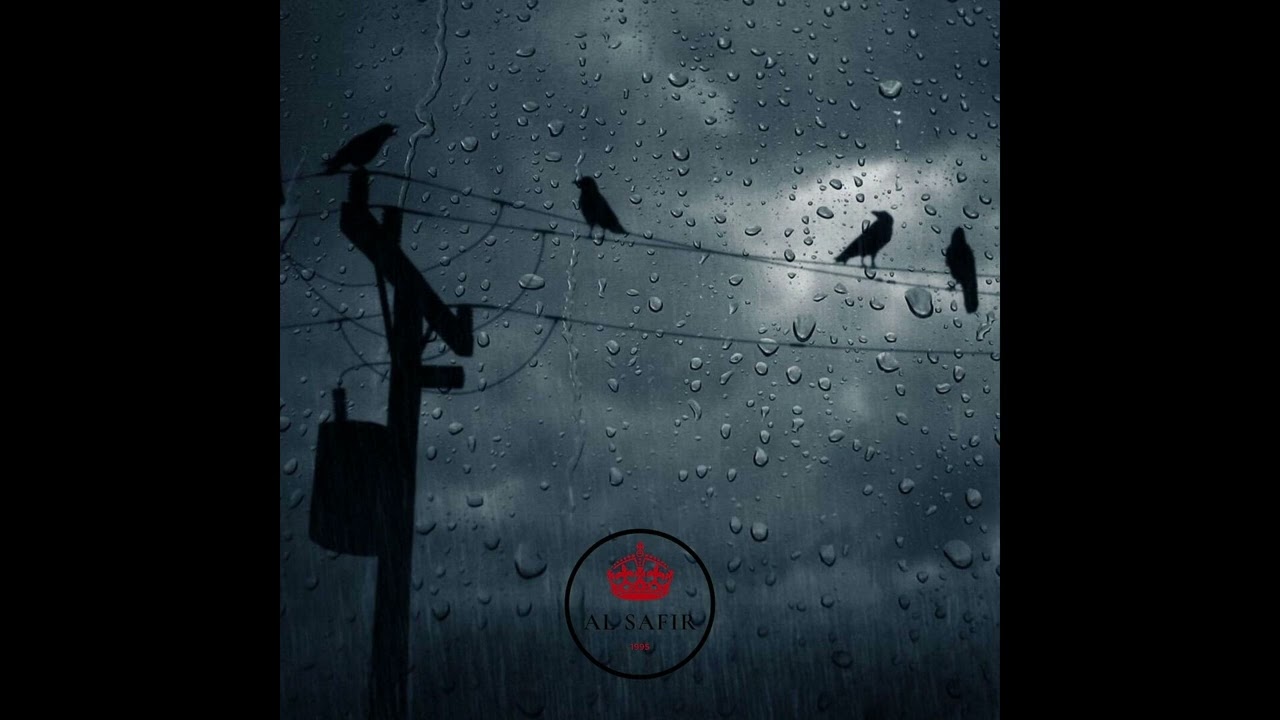 AL SAFIR - SHARS 2019 (INSTRUMENTAL)