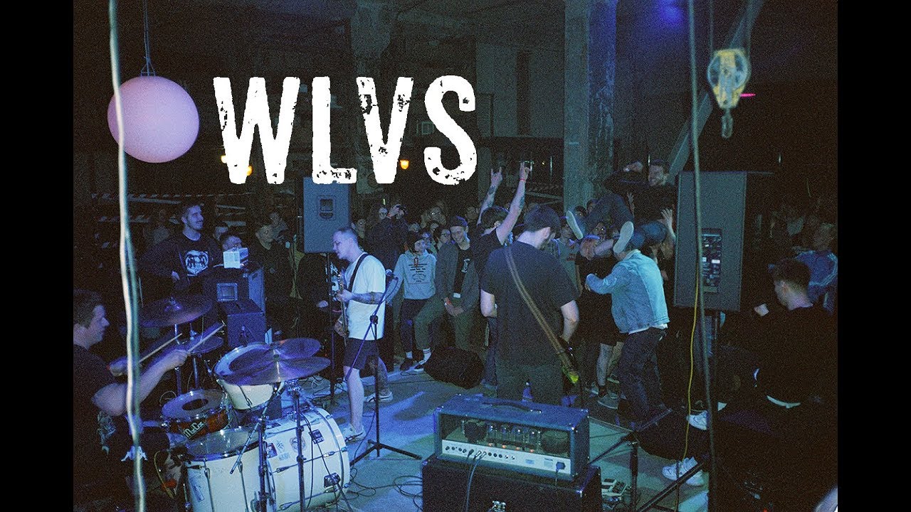 VIZINE/WLVS интервью