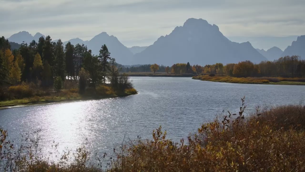 Peaceful Water Sounds | Grand Teton Autumn 🍂