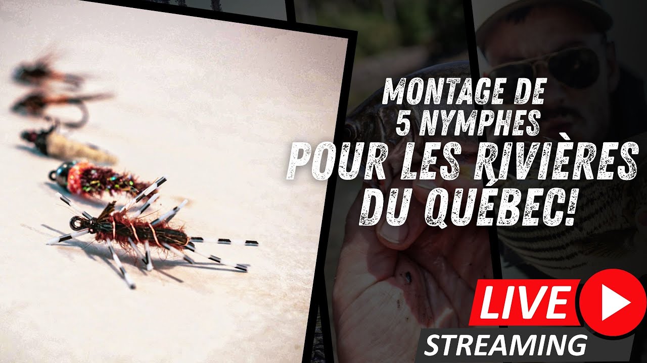 5 nymphes pour avoir du succès au nymphing dans les rivières du Québec! Live 02.