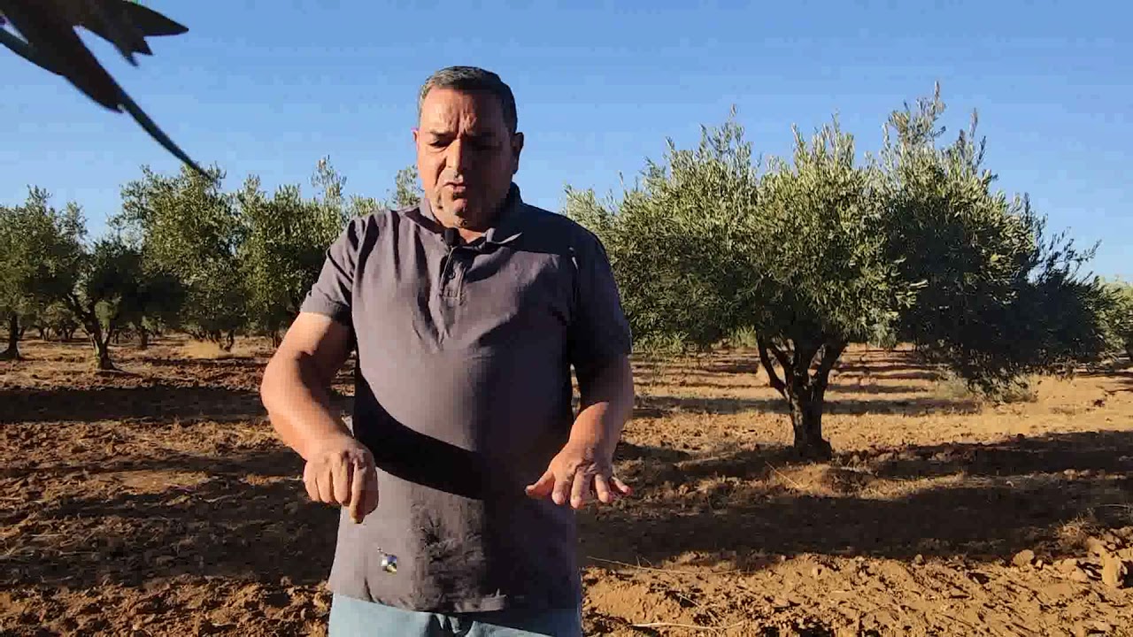 التنقيب عن الماء في الزليلك نواحي فاس باستخدام البندول