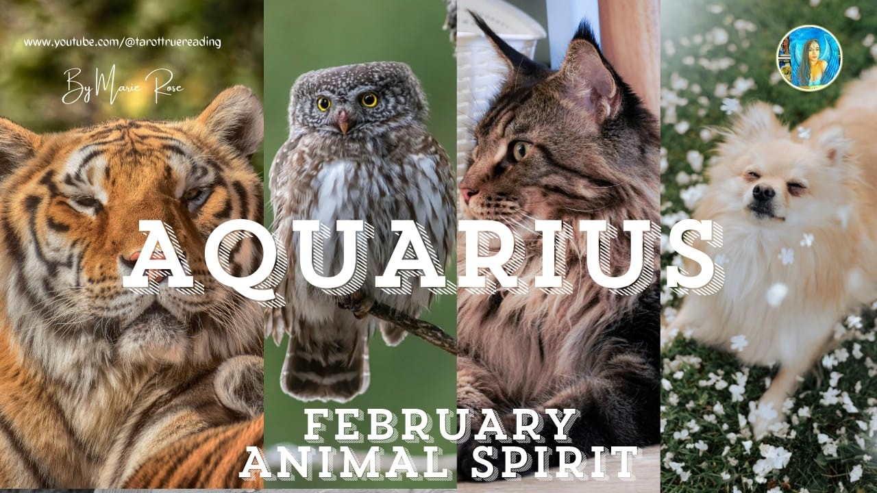 💥AQUARIUS💥YOUR ANIMAL SPIRIT REVEALED💥HUGE CHANGES COMING YOUR WAY😱🎬 #aquarius #aquariushoroscope