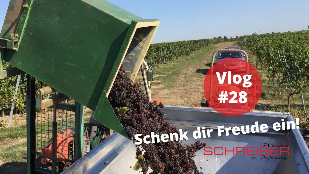 Ohne Kaffee geht gar nix - Weinlese 2020 Teil 1 I Schenk dir Freude ein! Vlog #28