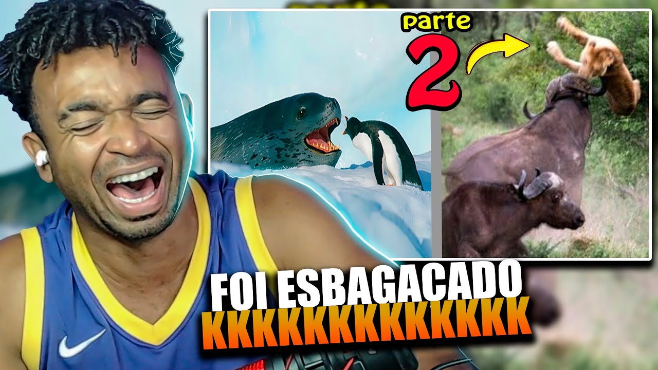 🔴 Quando os Animais Escolhem o Oponente Errado PARTE 2! Ninguém Aprendeu a Lição! #react