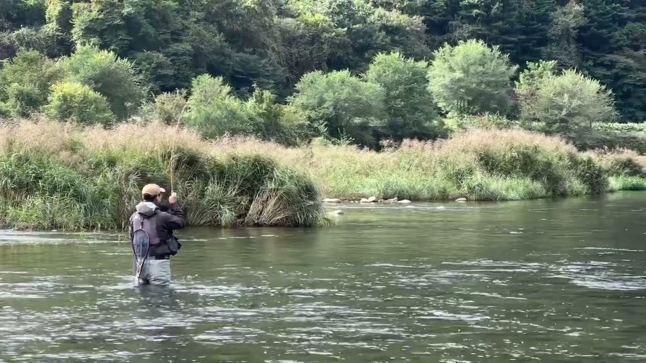 전설에 나오는 송어를 플라이낚시로 잡는 순간(10월)