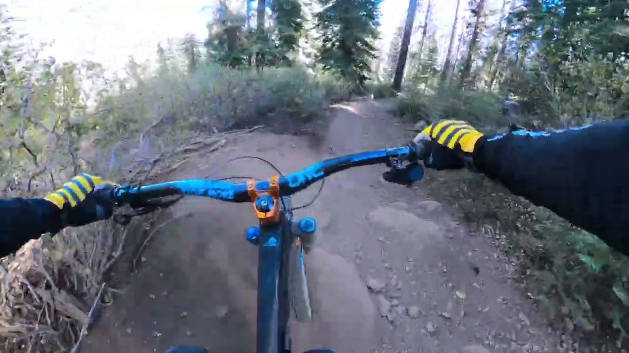 NORTHSTAR 2025| FLAMEOUT, WOODS, PHO DOG| 9.28.25