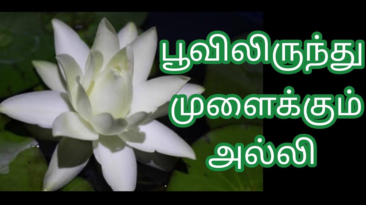 ப்பா...என்ன ஒரு வாசனை...@todaysspecial5490 