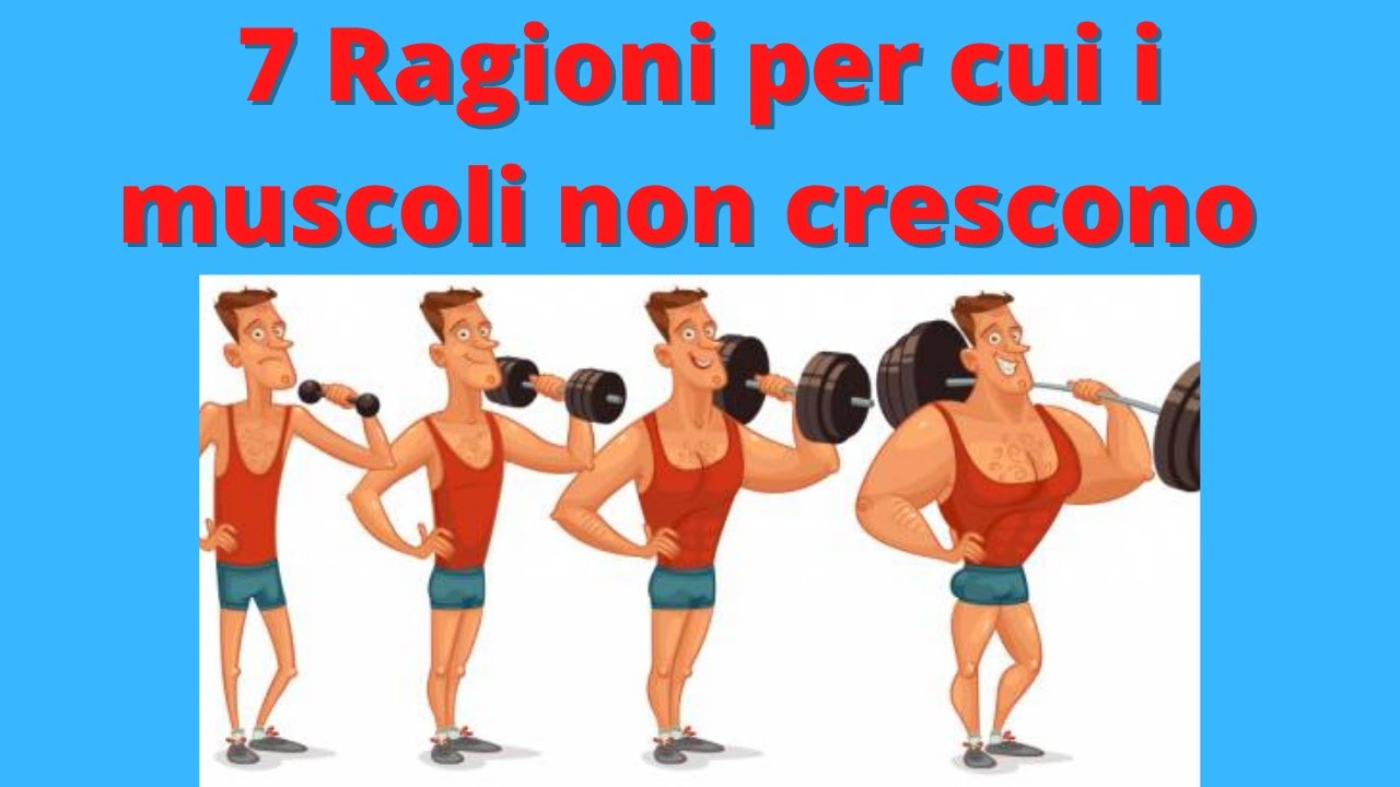 7 Motivi Per Cui I Muscoli Non Stanno Crescendo