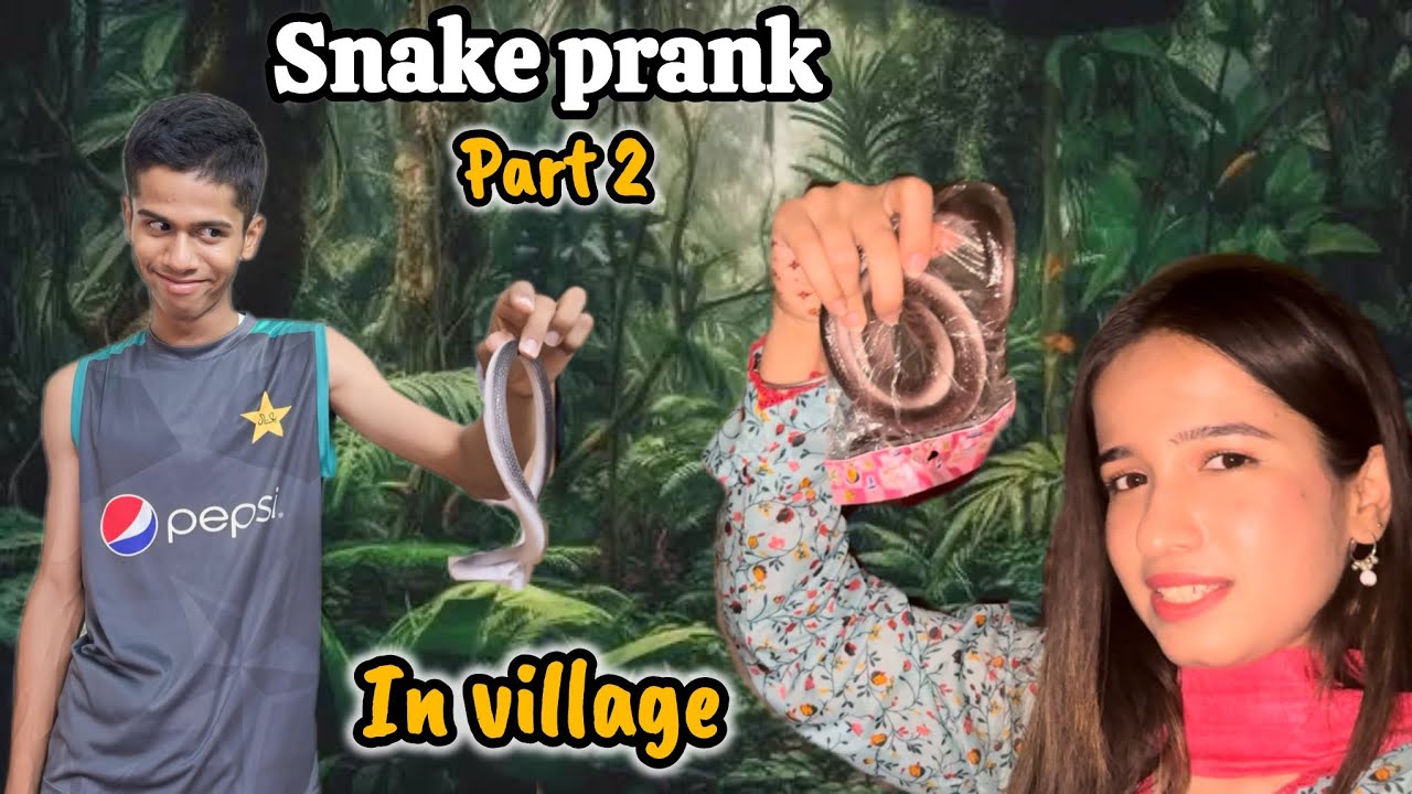 Gaon me sab ko daraa diya | SNAKE PRANK part 2 | AK VLOGS