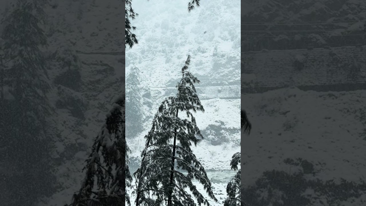 Snowfall 