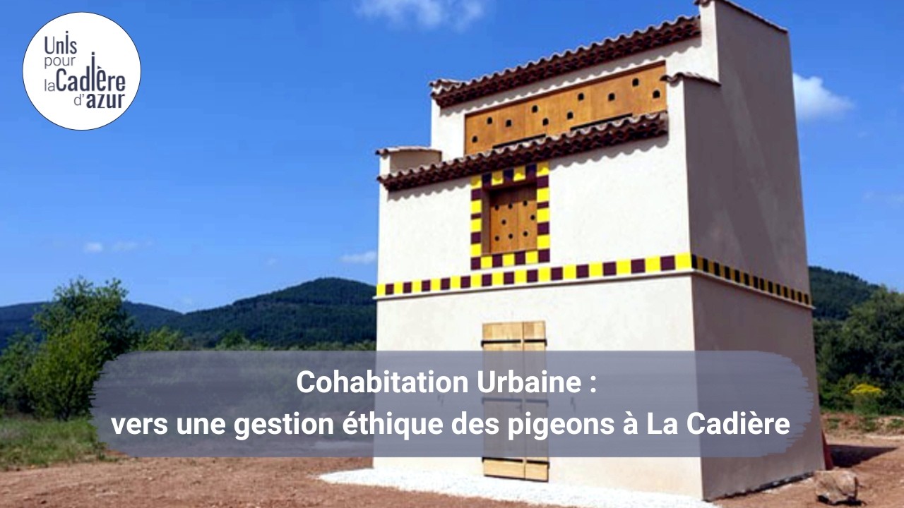 Unis pour La Cadière - Nos idées & Projets #4 : le pigeonnier urbain !