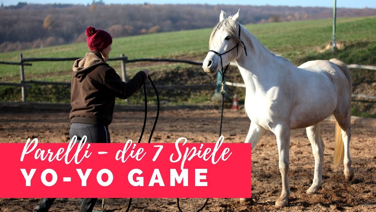 Die 7 Spiele nach Parelli - Yo-Yo Game | ausführliche Anleitung Teil 4/7