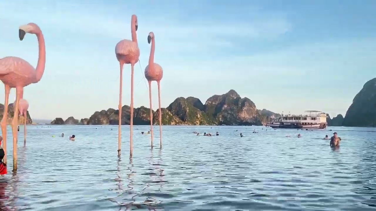 Chi và Nam đi tắm biển TTP Cẩm Phả