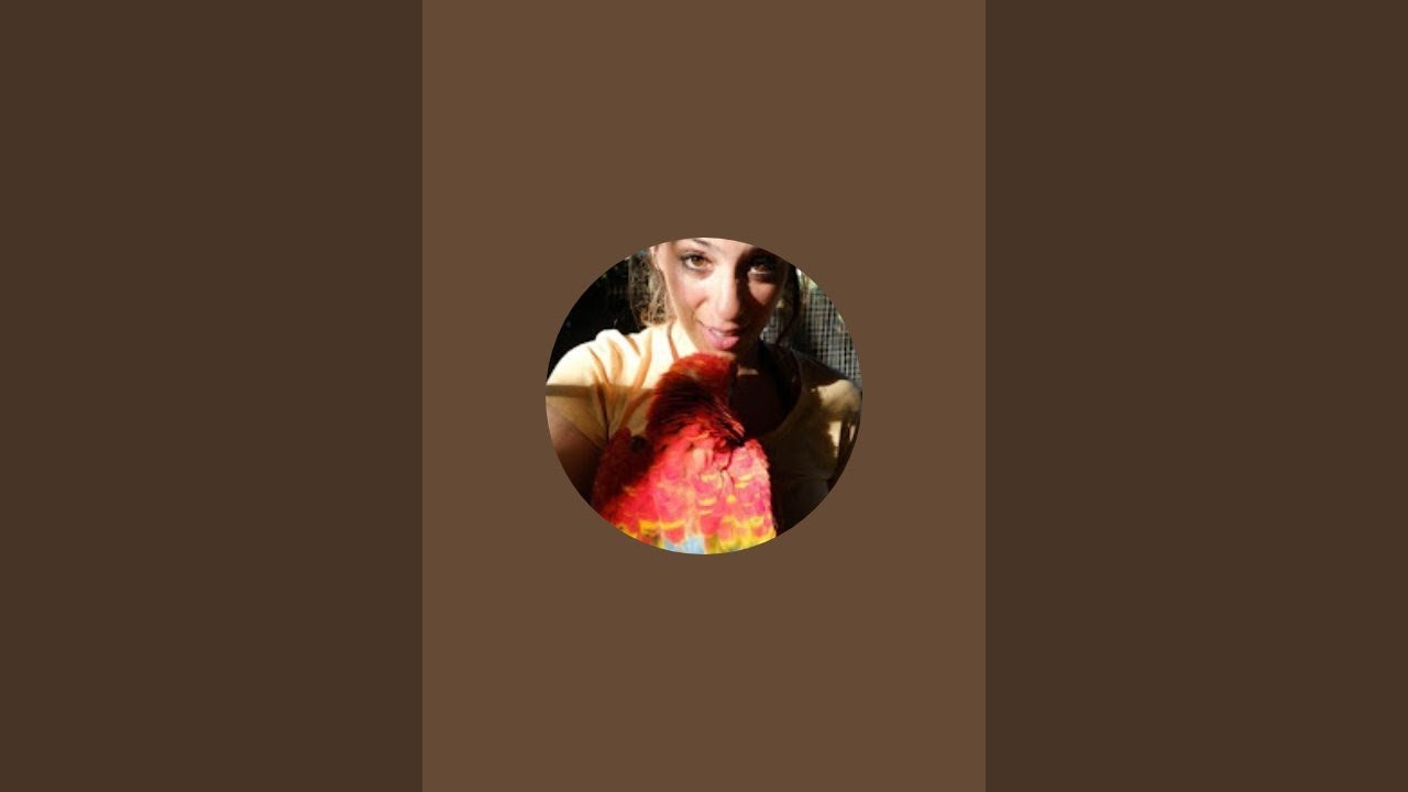 Lols Ferrari is live!