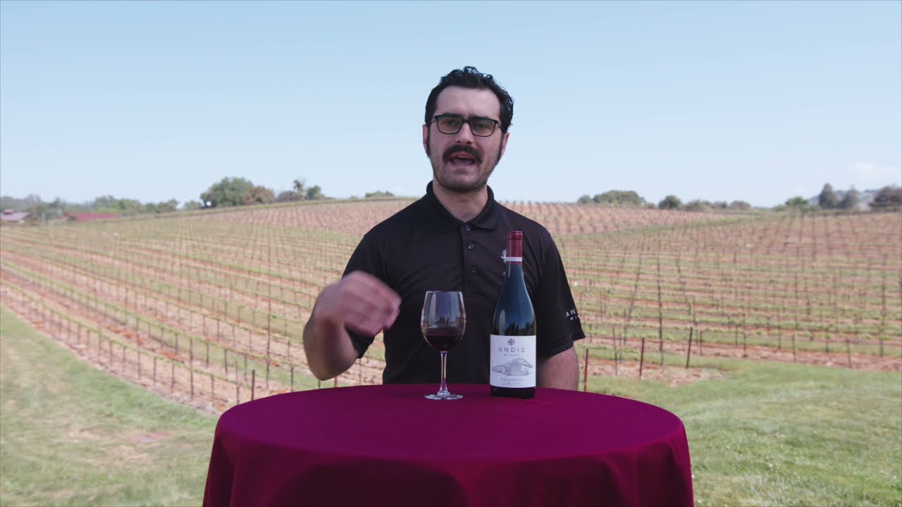 Andis Schioppettino Virtual Wine Tasting