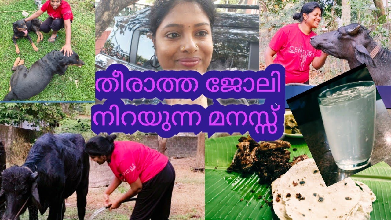 തീരാത്ത ജോലികൾ വേണം 🏠❤️