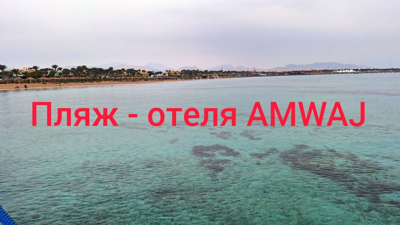 Египет в декабре 2025. Пляж отеля Amwaj💥