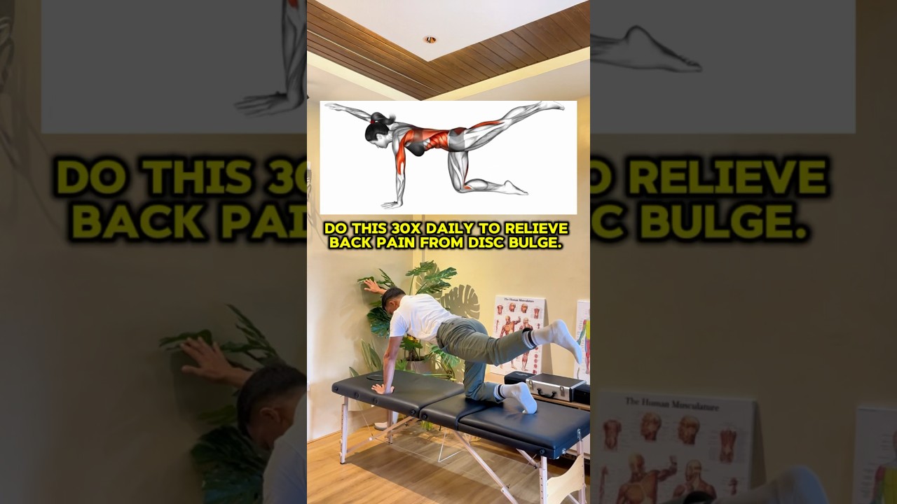 Back & Core Muscle Strengthening Exercise!!