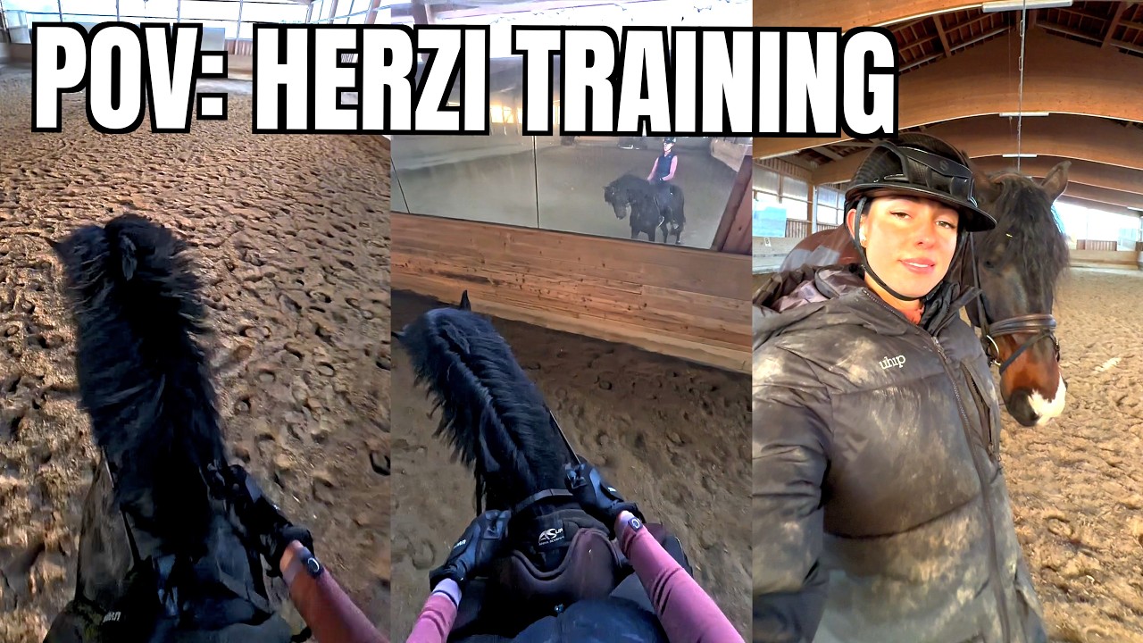 POV: DU REITEST HERZI (MIT NEUER VIRAL CAM)