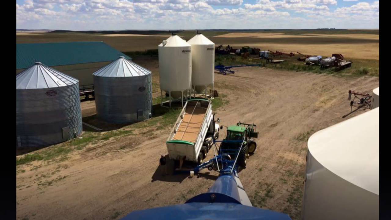 Hammer Farms - 2016 Harvest
