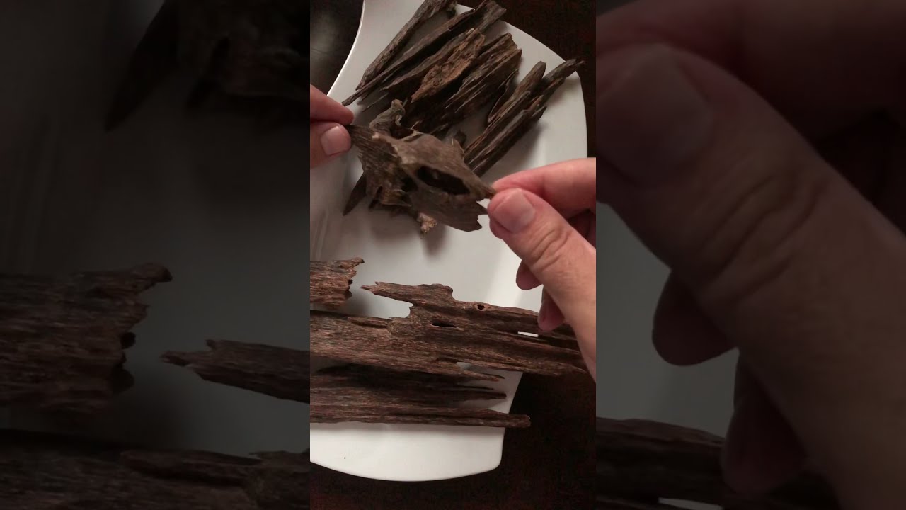 #العود الهندي انواعه واشكاله وسبب اختلاف الاسعار