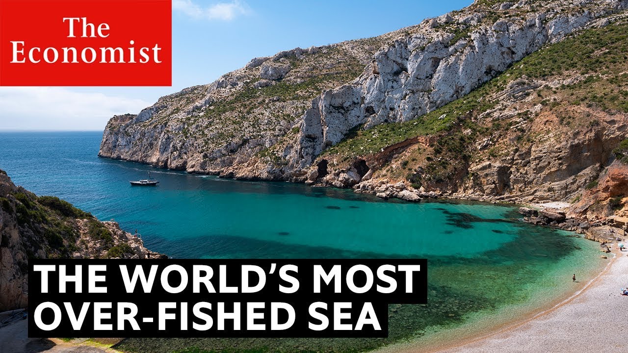 This is the most over-fished sea in the world