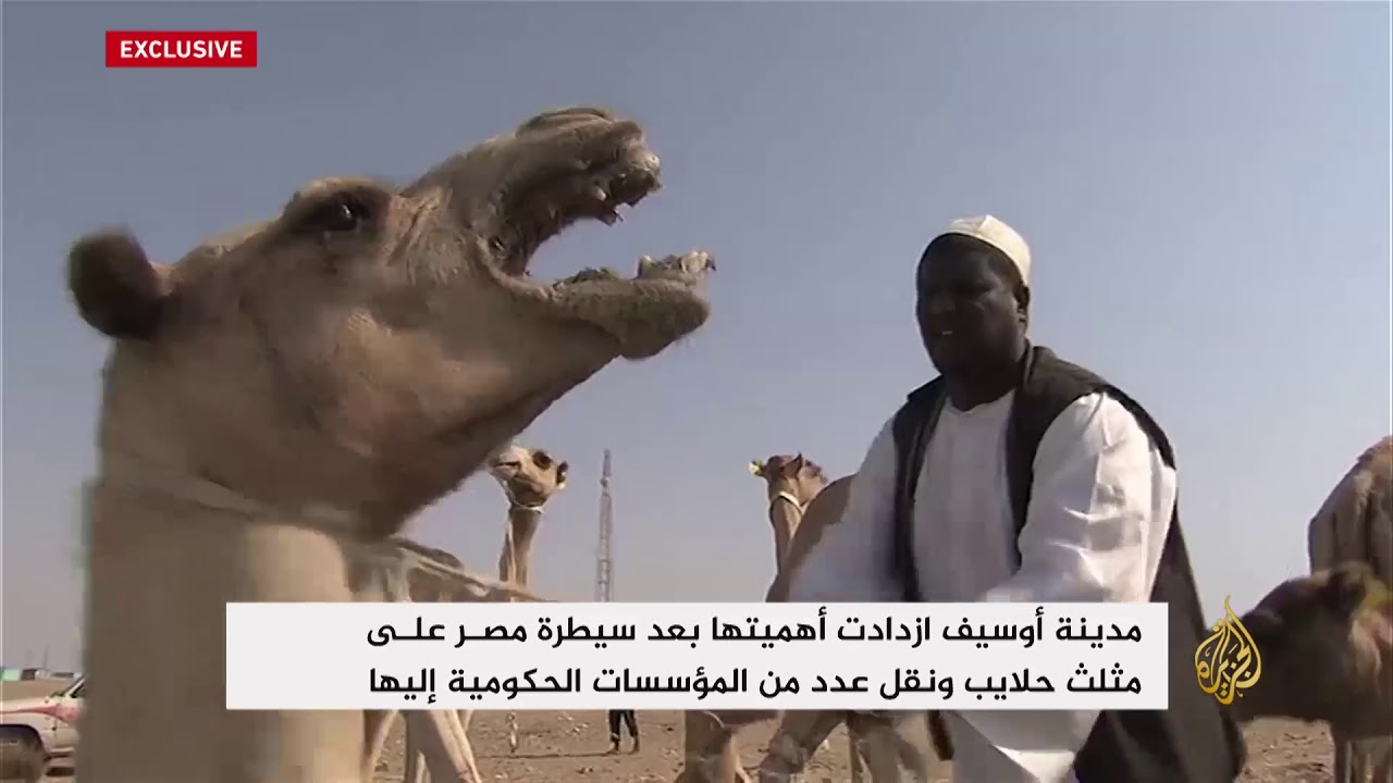 أوسيف أقرب مدينة سودانية لمثلث حلايب