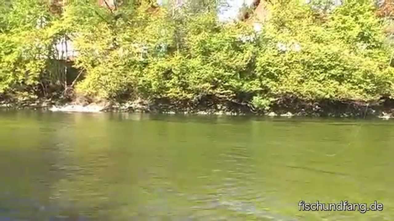 Salzkammergut - Auf Forelle an der Traun