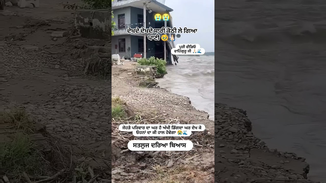 flood satluj vyas river #flood #satlujriver #vyasriver #emotional #humanity #viral #trending